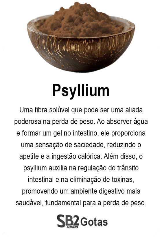 ingrediente-sb2-caps-2-turbo-psyllium2